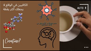 الكافيين: صديق أم عدو؟      Caffeine: Friend or Foe