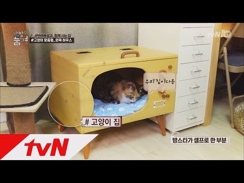 Myroom 고양이 4마리 아빠 방스타의 셀프 원목하우스 160406 EP.15