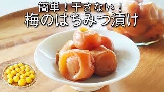 梅 はちみつ 漬け 保存袋で３日で作れる！キズ梅の救済レシピ 疲れ知らずに【簡単！梅仕事】 はちみつ 梅干し