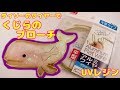 【ＵＶレジン】100均材料で作る・くじらのブローチ～　Whale brooch -UVresin-