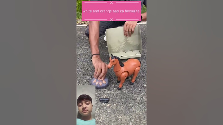 Remote control Two Horse 🐎 Testing