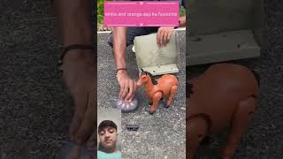 Remote control Two Horse 🐎 Testing
