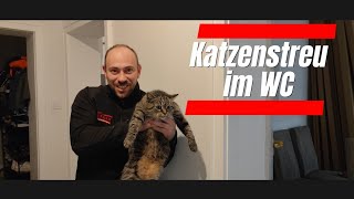 Rohrreinigung 120.Katzenstreu gehört nicht in die Toilette!