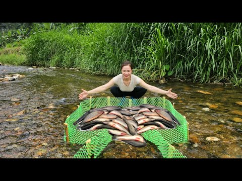 Ana used the green net to make a fish trap and unexpectedly caught a lot of fish in the trap.