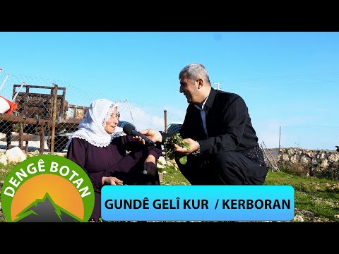 DENGÊ BOTAN - GUNDÊ GELÎ KUR  / KERBORAN