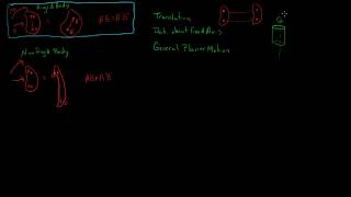 Rigid Body Motion and Translation