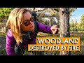 Woodland Photography With A Twist | Forest Fire Devastation In Scotland