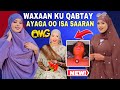 Walashey Iyo Saxibkey Oo Isa Saaran Ayaan Usoo Galay Qiso Waali Ah Walashey Iyo Saxibkey Oo Isa Saaran Ayaan Usoo Galay Qiso Waali Ah