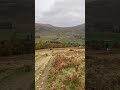 Loch Brandy views