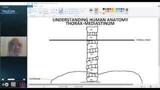 UNDERSTANDING HUMAN ANATOMY-THORAX MEDIASTINUM PART 1