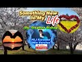 Something New In My Life (Original Lyrics Only By: Stephen Bishop) HLJ karaoke Mix Version