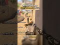 Top 5 The Best Funny Moments In CS2 😂 #cs2 #csgo #cs2moments #cs2memes #shorts