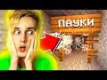 ✅ БИТВА С ПАУКАМИ ПОД ЗЕМЛЕЙ 😲 НУБ В МАЙНКРАФТ *15 СЕРИЯ*