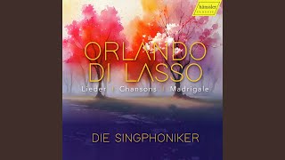 Madonna mia pietà, LV 30: No. 1, Madonna, mia pietà