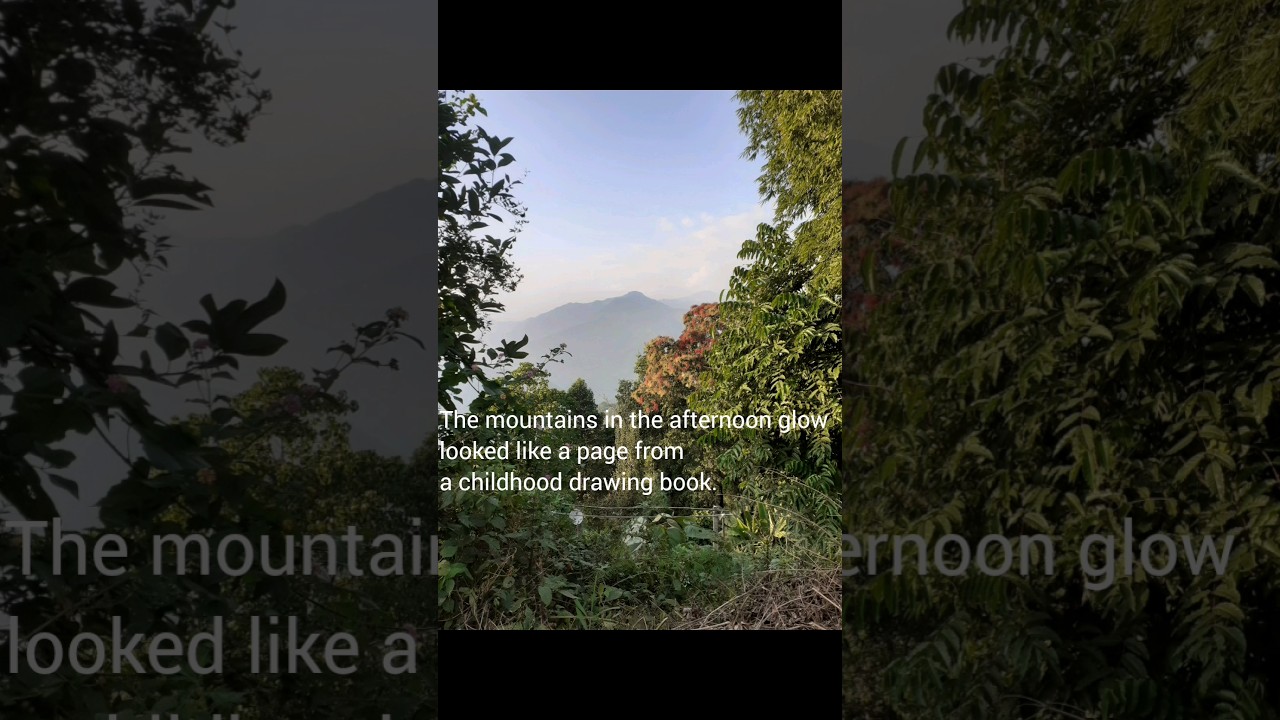 Field in Kalimpong:Day 5!Part 2:In search of the landslide!