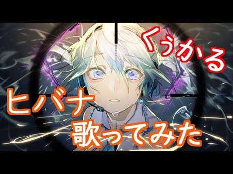 【くぅかる】ヒバナ 歌ってみた 【初投稿】