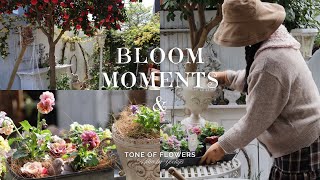 Download Lagu Tuinieren 2025 🌸 Viooltjespotten Die Tot de Lente Bloeien | Tuin DIY \u0026 2025 Tuin Hoogtepunten MP3