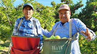 Tengo 73 Años Y @Vagantedemichoacan me ayudó  Travajar Y medio Para mi lonche 😱😱😱