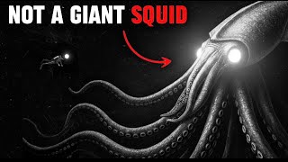 Why Evolution Keeps Making the Same Giant Animal..