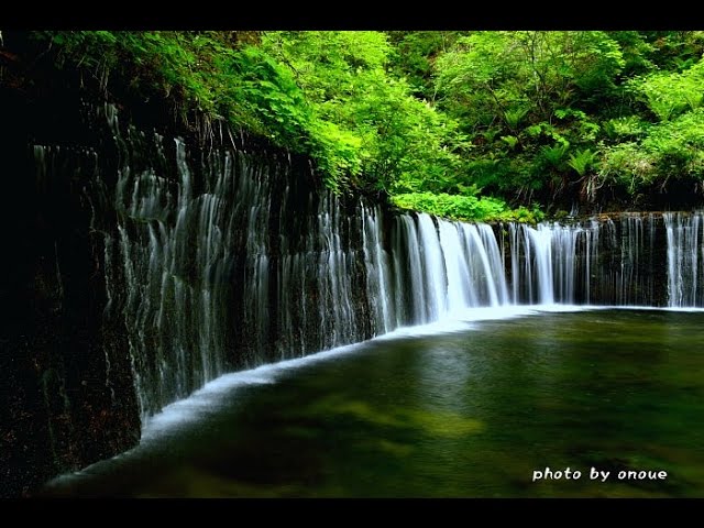 軽井沢 新緑の白糸の滝16 4k撮影 Youtube
