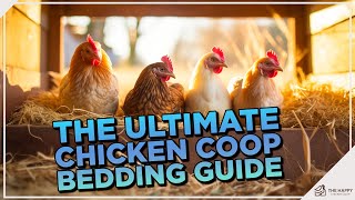Chicken Bedding: Our Top 5 Picks for a Comfy Coop