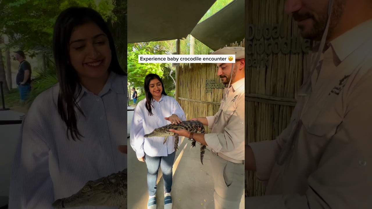 Have you been to Dubai Crocodile Park? 🐊🇦🇪