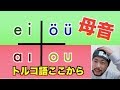 【文法解説#2】トルコ語では８種類！母音のグループ分けが一番重要！【Eng Sub】
