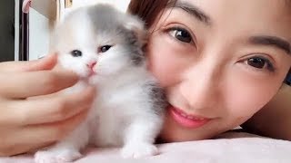 猫　かわいい