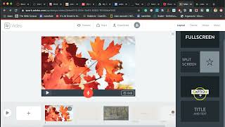 2. Adobe Spark Themes and Layouts