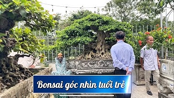 Bonsai góc nhìn tuổi trẻ, mô hình yêu cây cảnh hay!. #bonsai