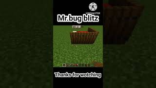  Bug Blitz Minecraft Smallest House 