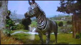 Talking Zebra Wild Animal Park