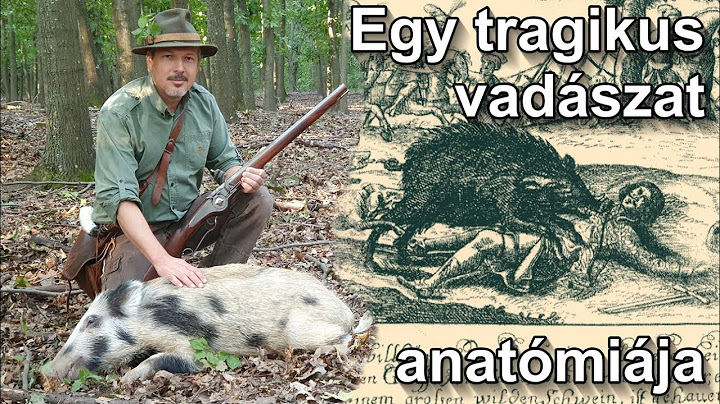 Egy tragikus vaddisznóvadászat anatómiája, avagy vadászat keréklakatos fegyverrel régen és ma