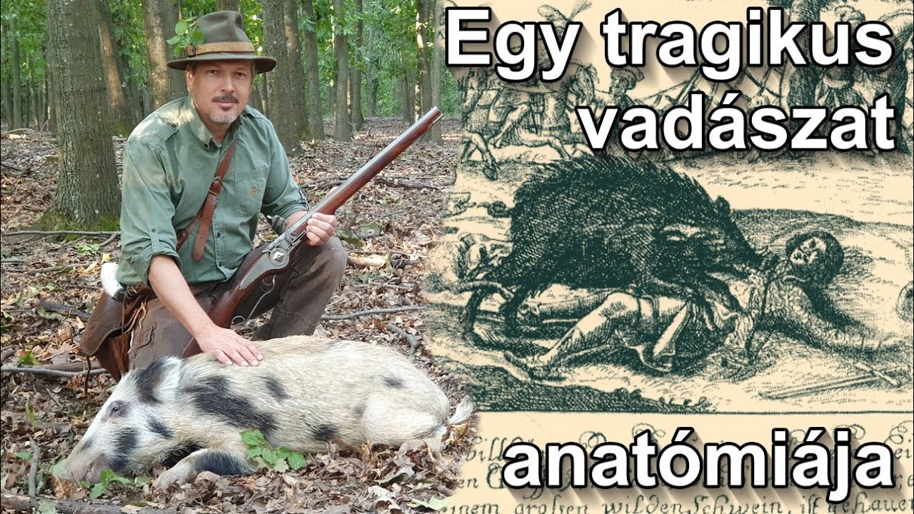 Egy tragikus vaddisznóvadászat anatómiája, avagy vadászat keréklakatos fegyverrel régen és ma