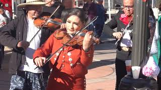 Fiesta Mariachi en Honor a Santa Cecilia LA  2023: Mariachis de Los Angeles-De Torreón a Lerdo