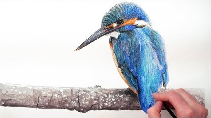 Kingfisher : Drawing with Mungyo Gallery Oil Pastel for the First Time  -STEP by STEP 