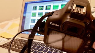 How to Transfer Pictures From Canon Camera to Mac screenshot 3