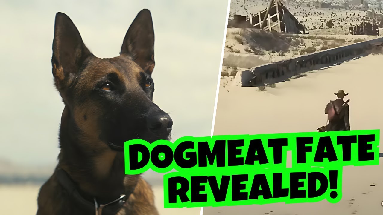 Survivor Alert Does The Dog Die In The Fallout TV Show YouTube survivor-alert-does-the-dog-die-in-the-fallout-tv-show-youtube
