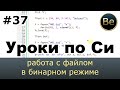 Язык Си с нуля - Урок 37 - Работа с файлом в бинарном режиме