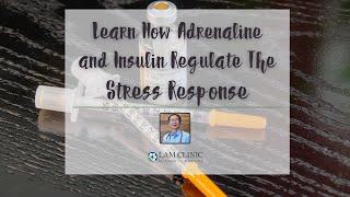 Learn how adrenaline and insulin regulate the stress response
