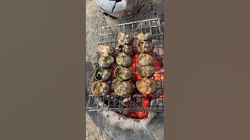 Ốc bươu nướng tiêu xanh thật là hấp dẫn các bạn ơi