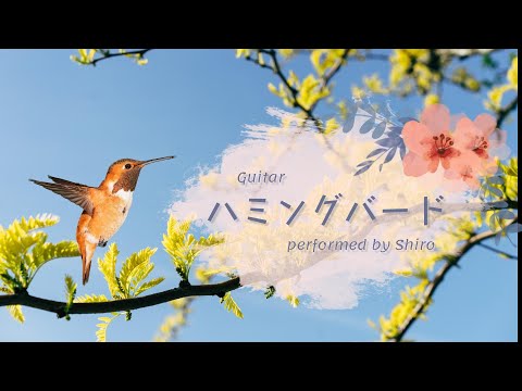 【ギター弾き語り】ハミングバード　ＹＵＫＩ　by Shiro