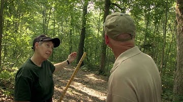 How to Measure a Tree | Indiana DNR
