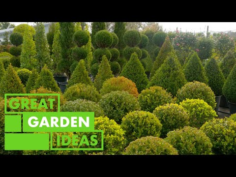 Video: Grønne dyr Topiary Garden - Fototur og guide