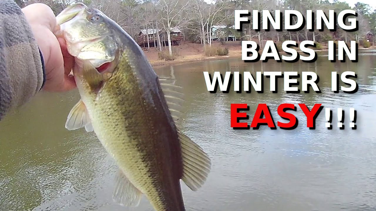 You’re WRONG About Where The Bass Are In Winter!!!!