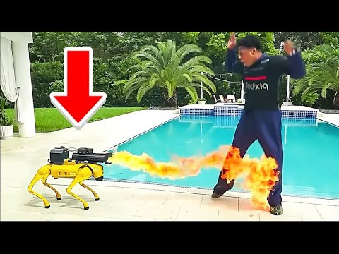 SPEED ROBOT DOG SHOOTS FIRE  ON HIM 💀