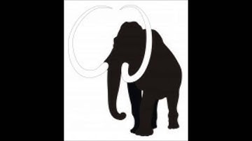 WoJam- Try to Come Down (studio)