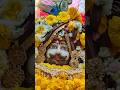 mere shyam sawriya #shorts #short #harekasahara #khatushyam #khatushyamstatus #khatu