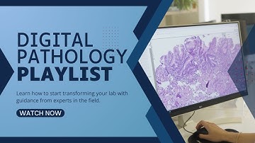Unlocking the Potential of Digital Pathology: From Workflow Optimization to Digital Ready Slides