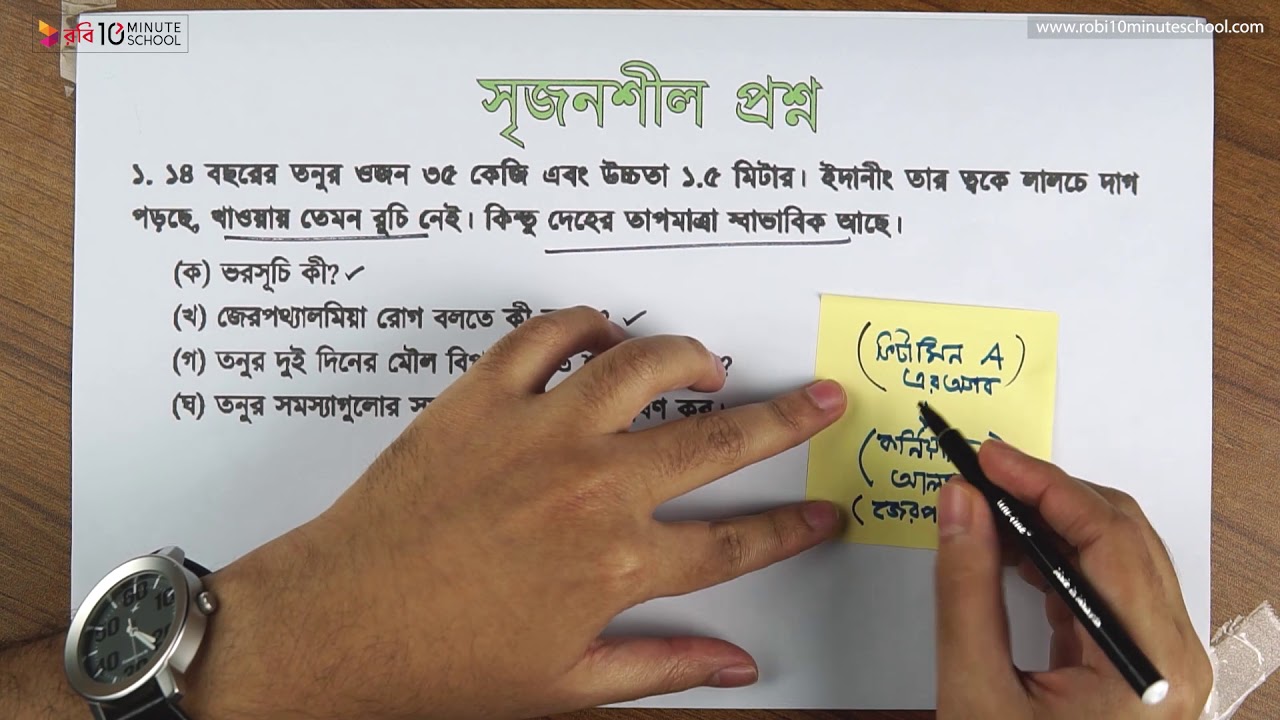 Chip va Deyl porno video